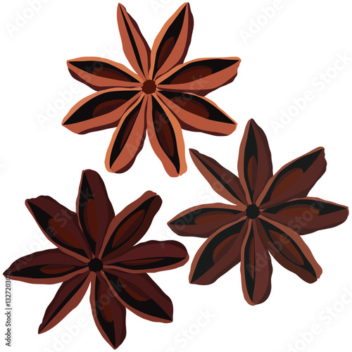 Star anise, Star anise close-up.