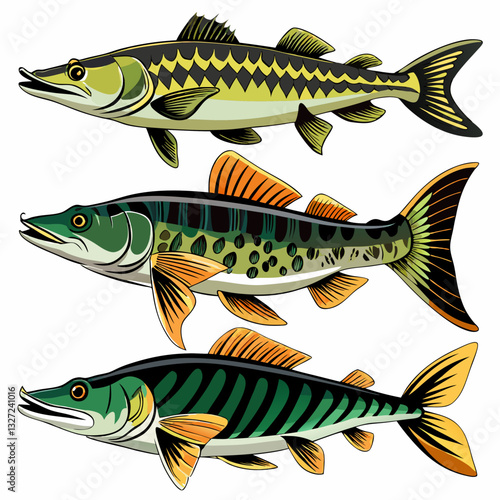 Vibrant illustrations of three captivating fish showcasing intricate patterns and vivid colors
