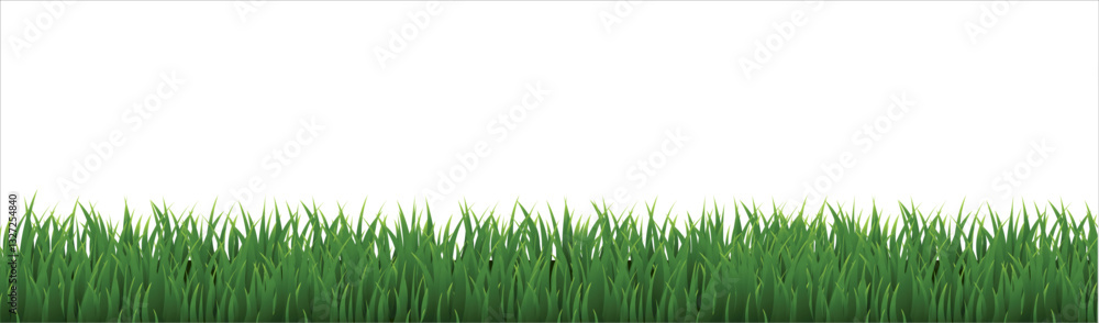 Fototapeta premium green grass background