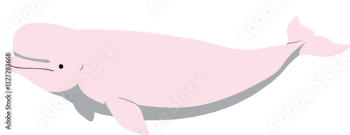 A graceful pink beluga whale swimming serenely through the ocean depths in a flat vector illustration style, showcasing the beauty of marine life in vector art
