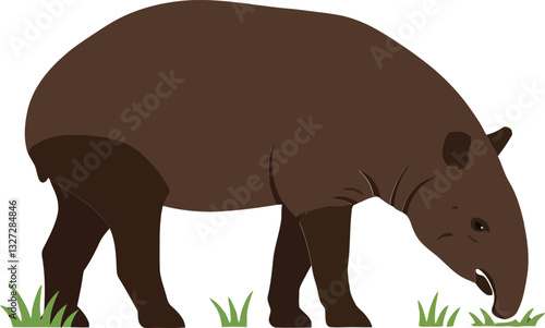 Brown tapir grazing on green grass in a minimal style, showcasing its unique body shape and calm demeanor in vector illustration