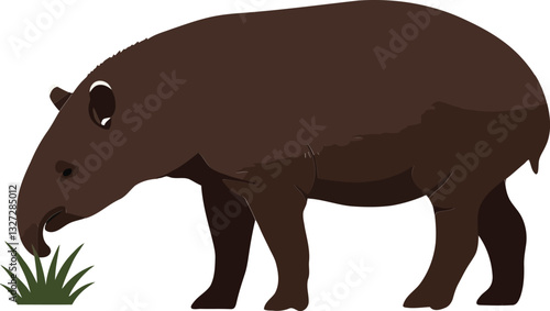 A gentle tapir grazing on green grass in a minimalist style vector illustration with soft lines and warm colors showcasing a peaceful wildlife scene