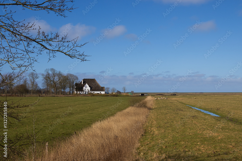 Traditioneller Haubarg in typischer Marsch Landschaft.