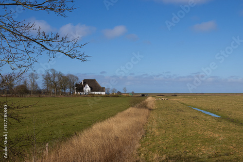 Obraz na płótnie Traditioneller Haubarg in typischer Marsch Landschaft.
w salonie