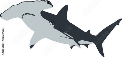 Obraz na płótnie Hammerhead shark swimming gracefully in a calm ocean with a minimal design style showcasing vector art w salonie