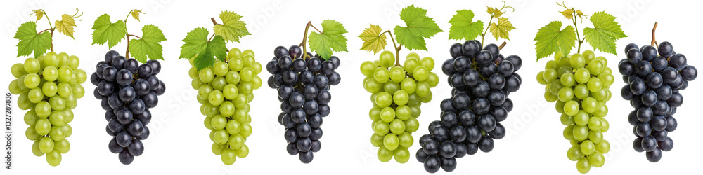 Obraz premium Set of Green and Black Grapes