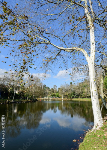 Lake in the park at Xalapa, Capital of Veracruz State in Mexico