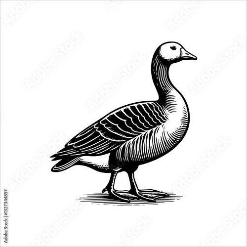 Simple American Buff Goose Standing Vector Icon – Vintage Logo & Retro Illustration