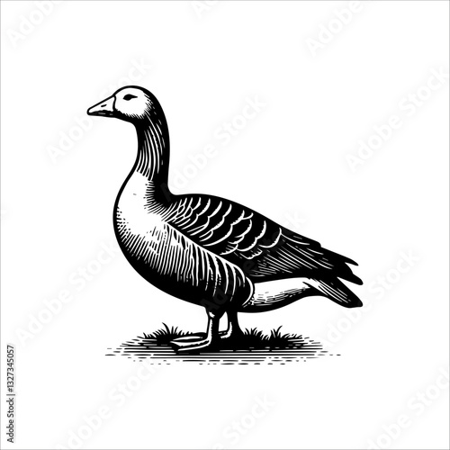 Simple American Buff Goose Standing Vector Icon – Vintage Logo & Retro Illustration