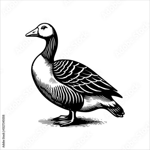 Simple American Buff Goose Standing Vector Icon – Vintage Logo & Retro Illustration