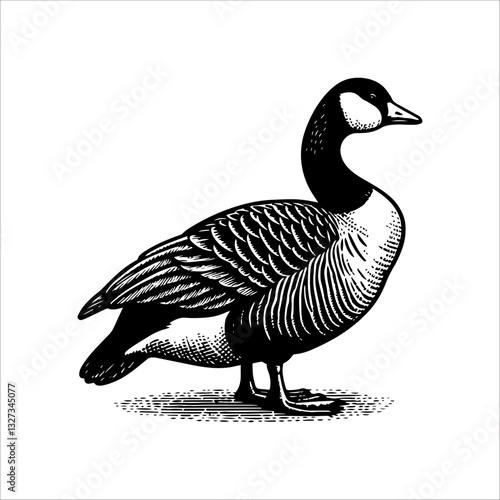 Simple American Buff Goose Standing Vector Icon – Vintage Logo & Retro Illustration