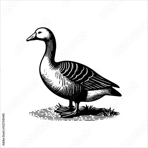 Simple American Buff Goose Standing Vector Icon – Vintage Logo & Retro Illustration