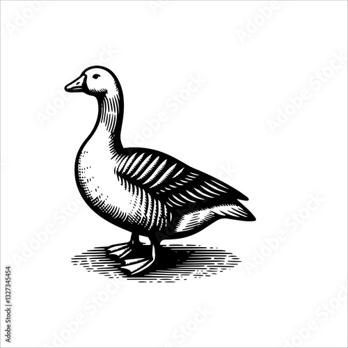 Simple American Buff Goose Standing Vector Icon – Vintage Logo & Retro Illustration
