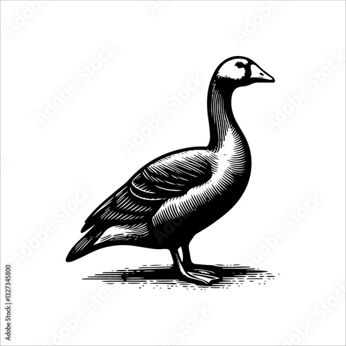 Simple American Buff Goose Standing Vector Icon – Vintage Logo & Retro Illustration