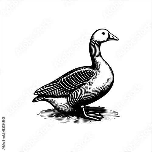 Simple American Buff Goose Standing Vector Icon – Vintage Logo & Retro Illustration