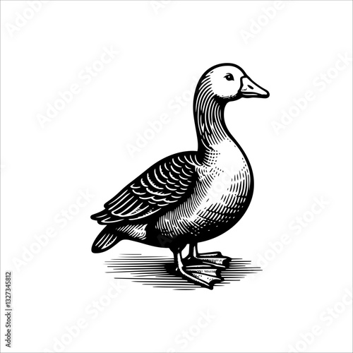 Simple American Buff Goose Standing Vector Icon – Vintage Logo & Retro Illustration