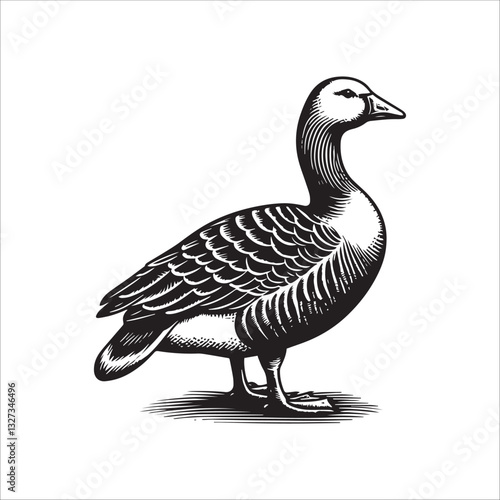 Simple American Buff Goose Standing Vector Icon – Vintage Logo & Retro Illustration