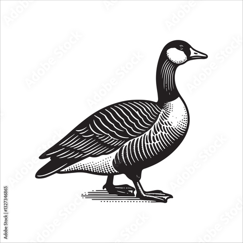 Simple American Buff Goose Standing Vector Icon – Vintage Logo & Retro Illustration