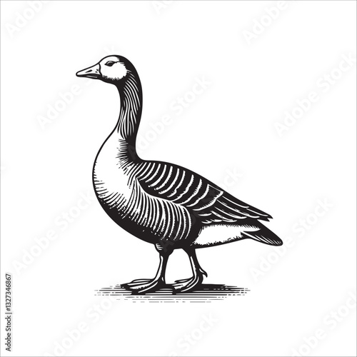 Simple American Buff Goose Standing Vector Icon – Vintage Logo & Retro Illustration