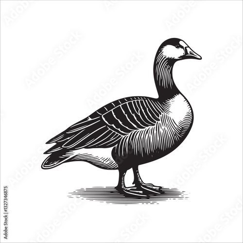 Simple American Buff Goose Standing Vector Icon – Vintage Logo & Retro Illustration