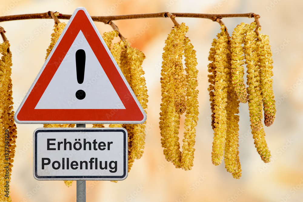 Ein Verkehrsschild warnt vor Pollen, Pollenflug und Allergie im Frühling vor den Blüten im Frühling - FOTOMONTAGE