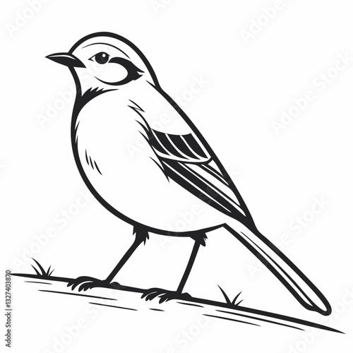 bird on a branch and The Fascinating World of Birds, The Life of Birds, The Secret Lives of Birds, Nature’s Melodies, The Story of Birds, The Journey of Birds, Understanding Birds