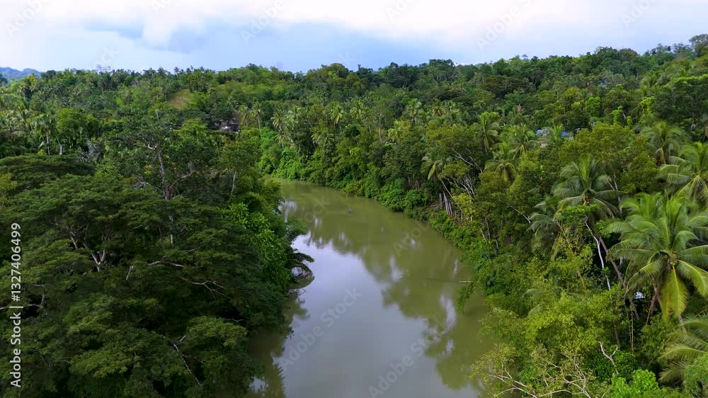 Aerial drone view of Loboc River with palm trees, Bohol, Philippines Aerial drone view of Loboc River with palm trees, Bohol, Philippines