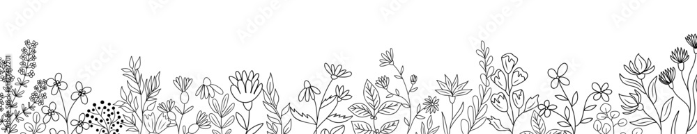 Botanical line art Wildflower border. Floral sketch drawing of plant Leaves and flowers. Outline black vector illustration isolated on transparent background. Design element for banner, greeting cards Botanical line art Wildflower border. Floral sketch drawing of plant Leaves and flowers. Outline black vector illustration isolated on transparent background. Design element for banner, greeting cards