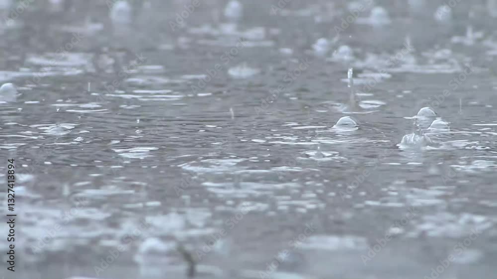 Close-Up of Raindrops Splashing into a Puddle, Creating Bubbles and Gentle Ripples Close-Up of Raindrops Splashing into a Puddle, Creating Bubbles and Gentle Ripples