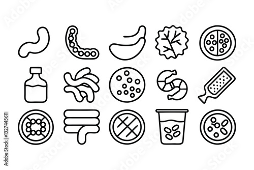 digestion  intestine  stomach  and probiotics edit