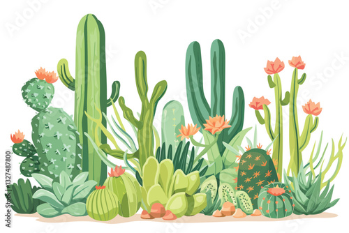 Miniature cactus garden arrangement decorative isolated