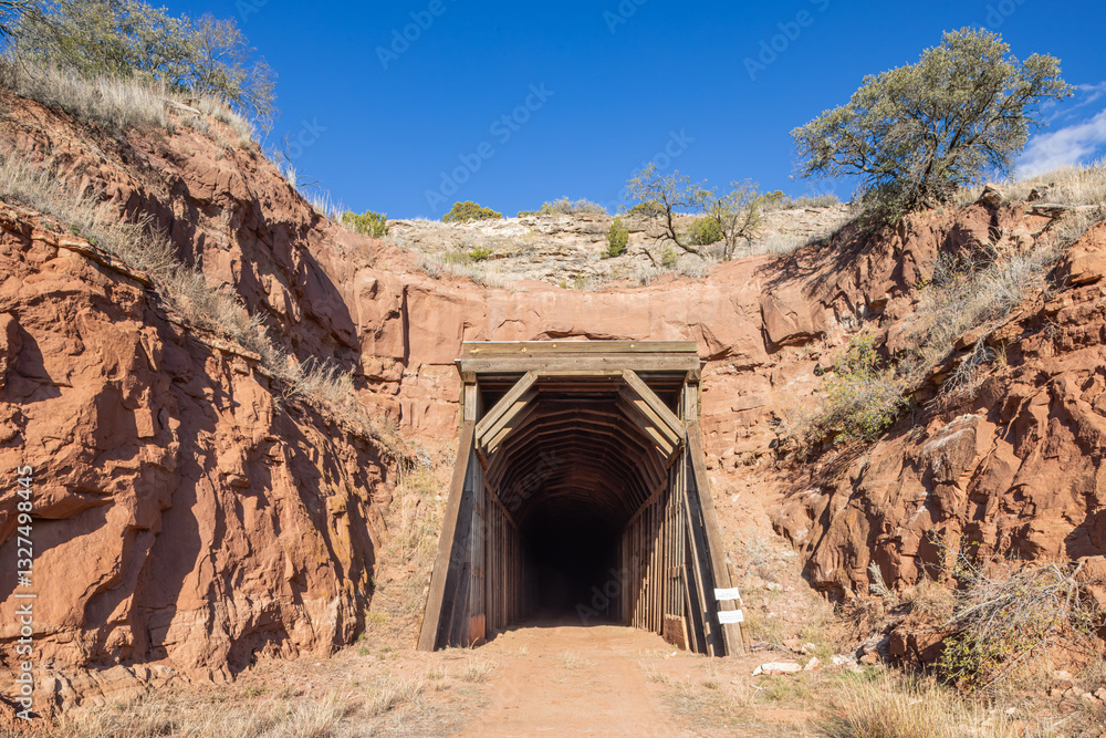 Abandoned railroad tunnel famous as roosting site for bats in rural Texas.