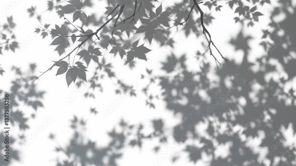Branch Shadow Overlay Video Loop, Gobo Animation, Seamless Texture, Leaf Tree Shadows, White Background 4k Video. generated with AI Branch Shadow Overlay Video Loop, Gobo Animation, Seamless Texture, Leaf Tree Shadows, White Background 4k Video. generated with AI
