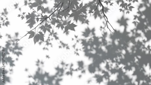 Branch Shadow Overlay Video Loop, Gobo Animation, Seamless Texture, Leaf Tree Shadows, White Background 4k Video. generated with AI
