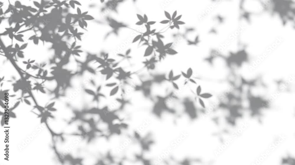 Branch Shadow Overlay Video Loop, Gobo Animation, Seamless Texture, Leaf Tree Shadows, White Background 4k Video. generated with AI Branch Shadow Overlay Video Loop, Gobo Animation, Seamless Texture, Leaf Tree Shadows, White Background 4k Video. generated with AI