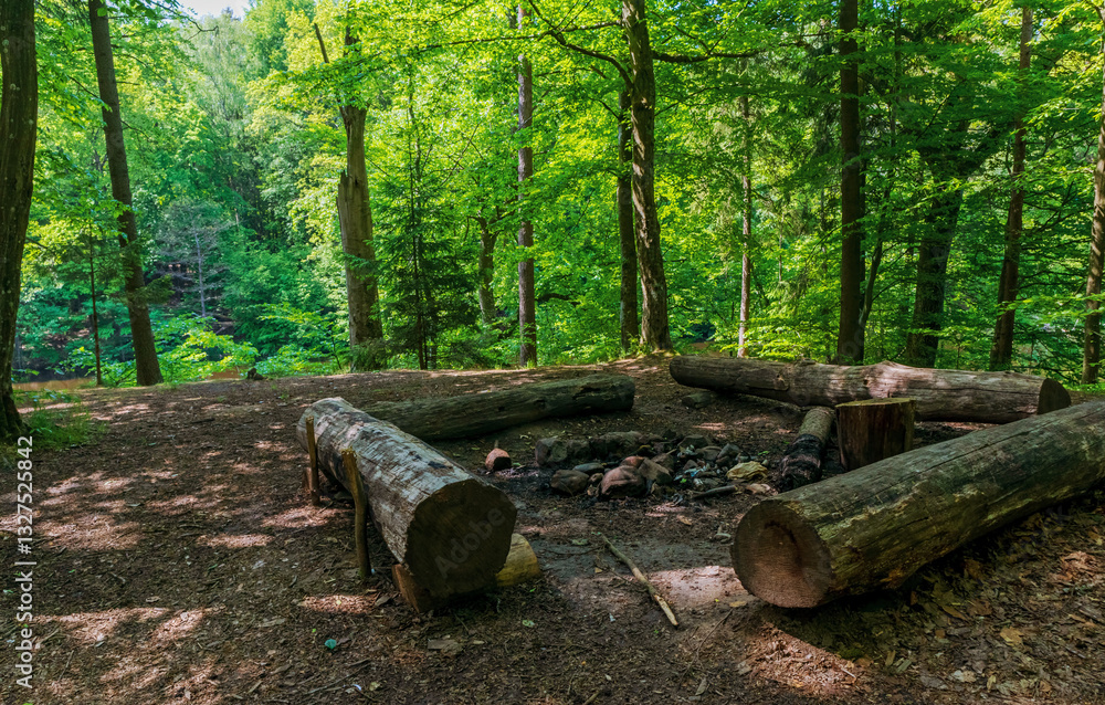 A tranquil campfire area is surrounded by towering trees and vibrant greenery, featuring sturdy logs arranged for seating. Perfect for storytelling and sharing moments. A tranquil campfire area is surrounded by towering trees and vibrant greenery, featuring sturdy logs arranged for seating. Perfect for storytelling and sharing moments.