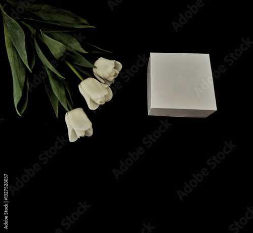 Elegant Gift Box on Black Background