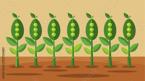 The rows of peas ly reached knee height their pods small and shriveled a stark contrast to their usual healthy and plump appearance.. Vector illustration