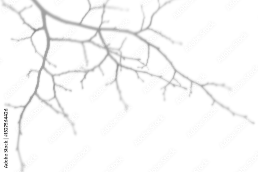 Obraz premium Shadow of a tree branch without leaves on a white background. Shadow for natural light effects.