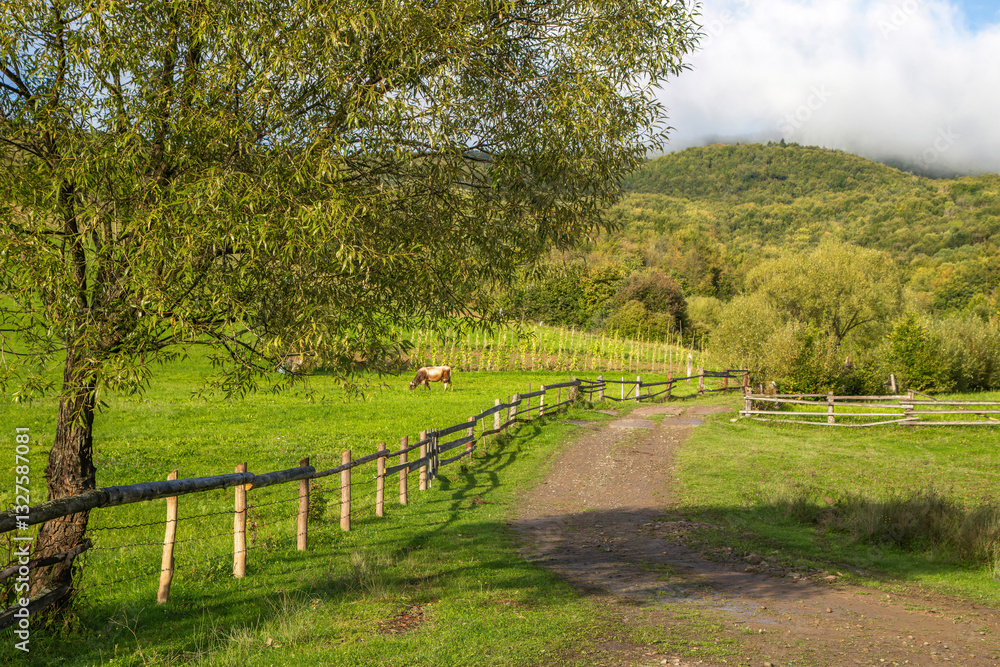 Beautiful countryside landscape with horse grazing in a lush green field during a sunny day