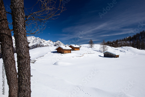 Wallpaper Mural Welcome winter Torontodigital.ca