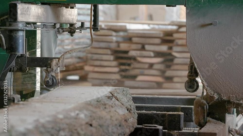 At the sawmill, a saw cuts brown wood. Tree bark and old rusty saw. Close-up. Work at the sawmill. Dust flies from wood and wood chips.