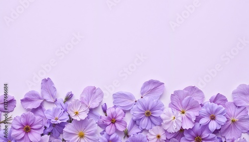  Purple flowers along the bottom on a lavender background, floral mockup. A dreamy and soft floral composition, perfect for elegant and romantic designs.