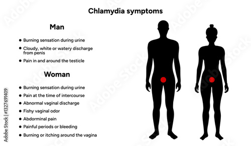 Chlamydia Trachomatis symptoms. Woman’s and man's reproductive system infections. Medical disease 