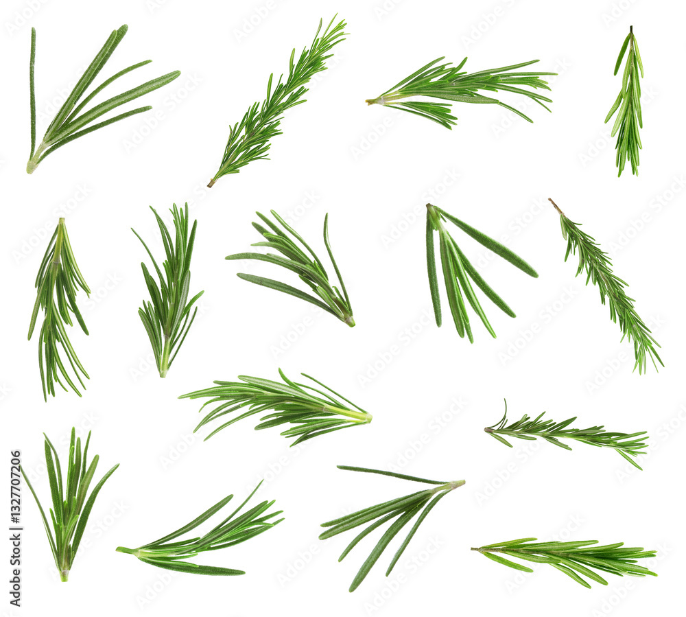 Fresh green rosemary isolated on white, set Fresh green rosemary isolated on white, set