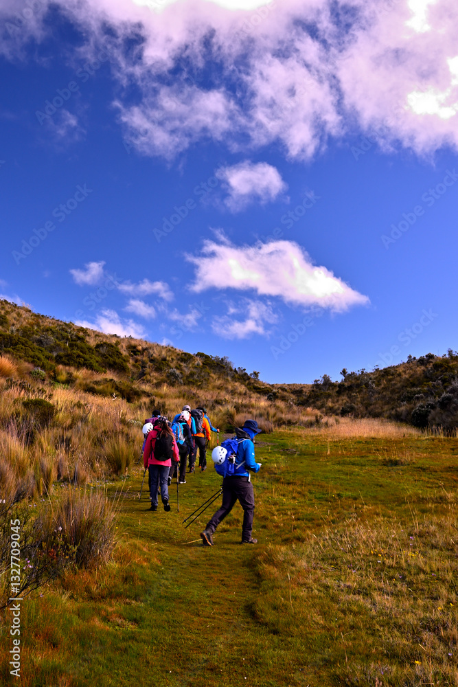 Obraz premium hikers in the mountains