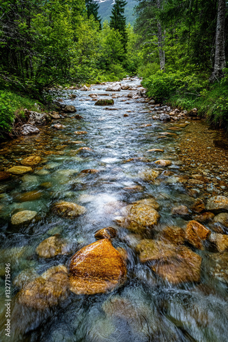 river in the forest