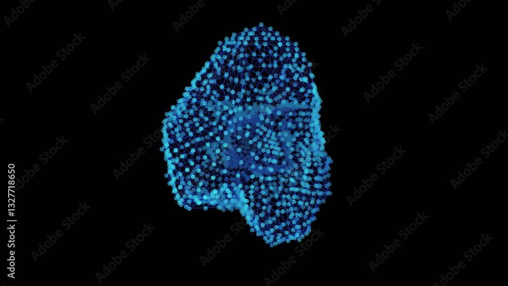 abstract digital network