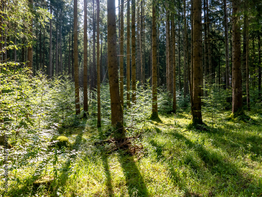 Obraz premium Landscape near Siegertsbrunn in Bavaria.