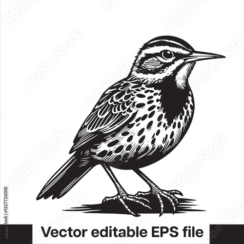 Western meadowlark silhouette, Meadowlark Bird Clipart, Western meadowlark landing on branch Illustration in black and white